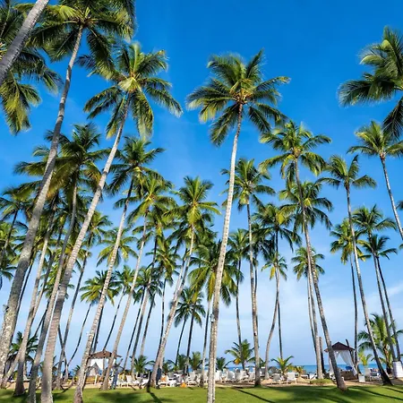 Viva V Samana By Wyndham, A Trademark Adults All Inclusive-3